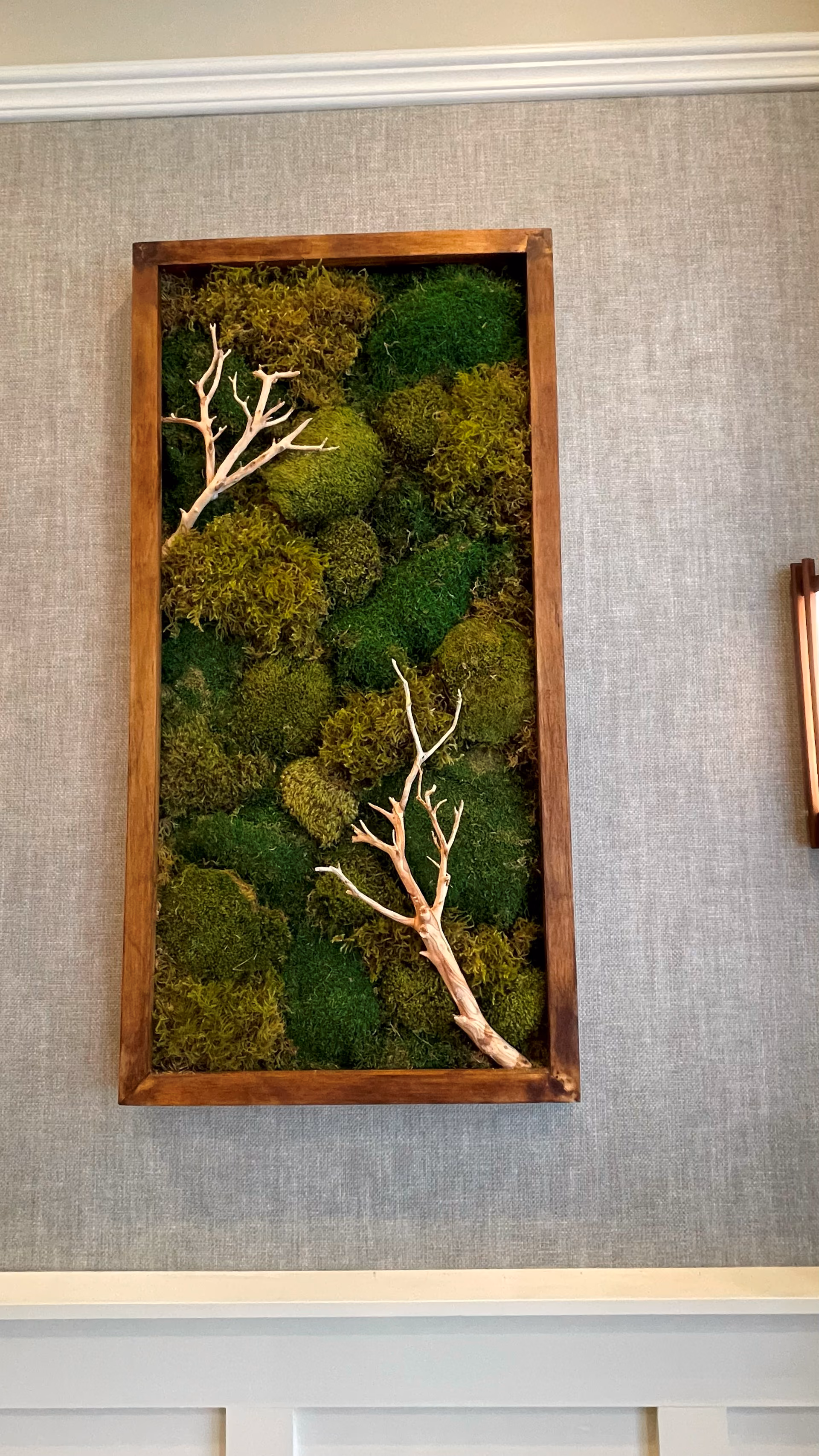 A framed living-moss wall art piece with a bleached branch accent, mounted on linen-textured wallpaper.